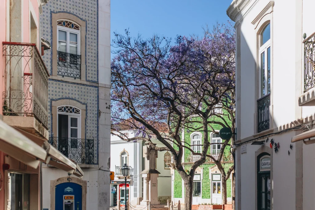 Property for Sale in Lagos Portugal